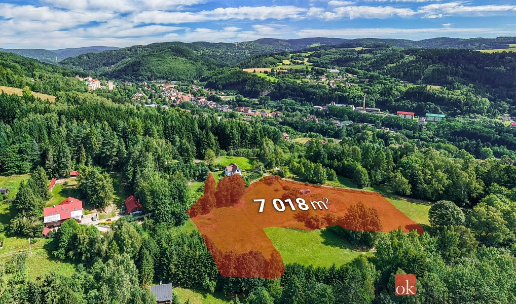 Prodej stavebního pozemku 7 018 m², Velké Hamry – náhled fotky 3