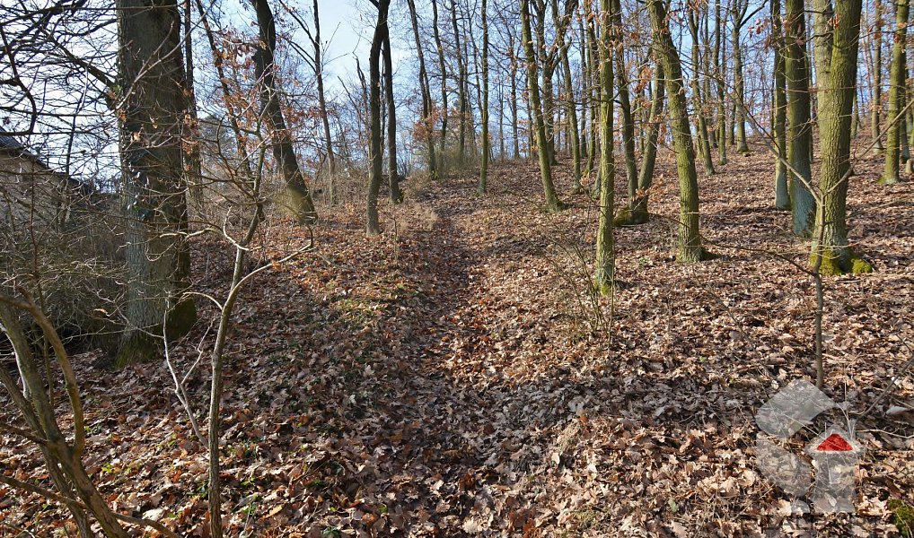 Prodej zahrady 207 m², Brno – náhled fotky 12