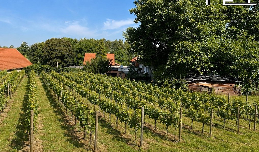Prodej domu 250 m² s pozemkem 1 200 m², Dobřichov – náhled fotky 22