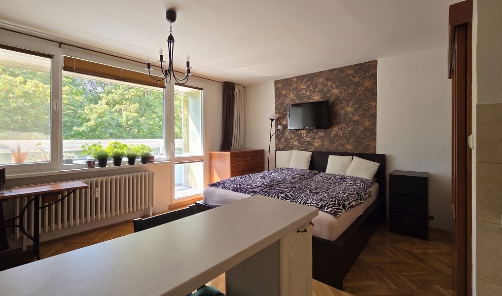 Prodej bytu 1+kk 31 m², Brno – náhled fotky 4