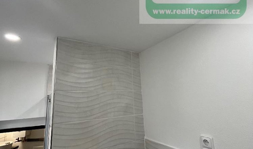 Prodej domu 220 m² s pozemkem 240 m², Mířkov – náhled fotky 14