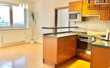 Pronájem bytu 3+kk 74 m², Sedláčkova, Brno - Líšeň