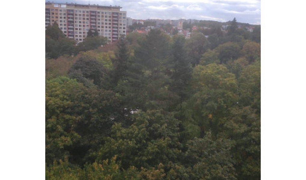 Pronájem bytu 2+kk 45 m², Praha – náhled fotky 12