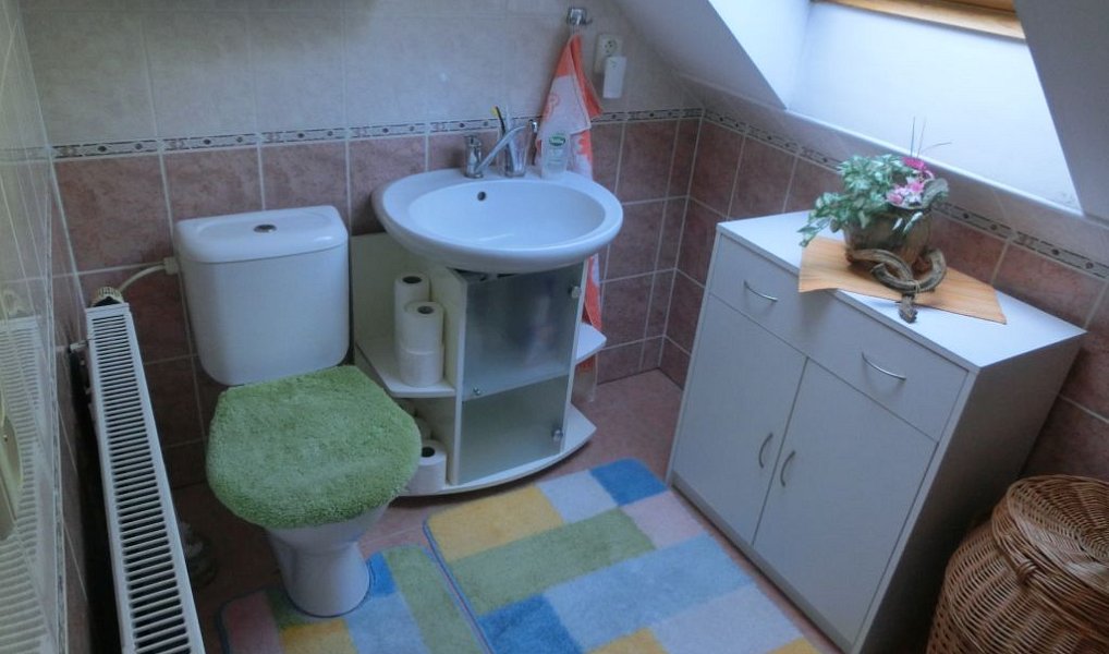 Prodej domu 175 m² s pozemkem 9 863 m², Vojkovice – náhled fotky 14