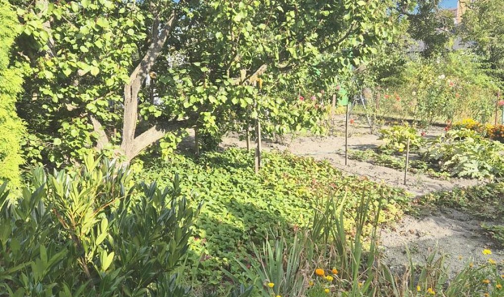 Prodej chaty/chalupy 20 m² s pozemkem 387 m², Kladno – náhled fotky 15
