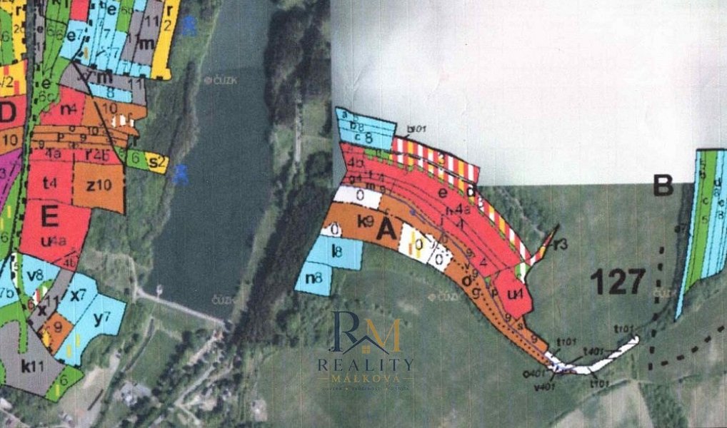 Prodej lesa 19 200 m², Ludkovice – náhled fotky 4