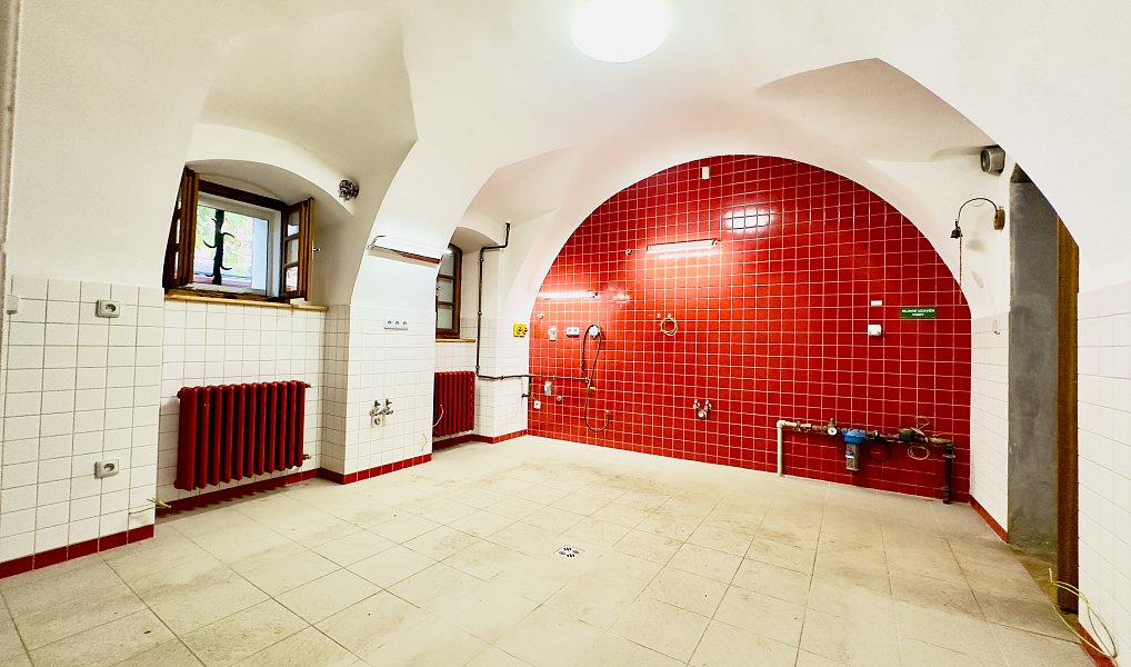 Prodej domu 324 m², Blatná – náhled fotky 6