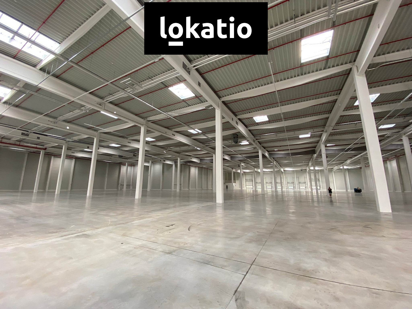 Pronájem skladovacích prostor 2 900 m² — photo 2