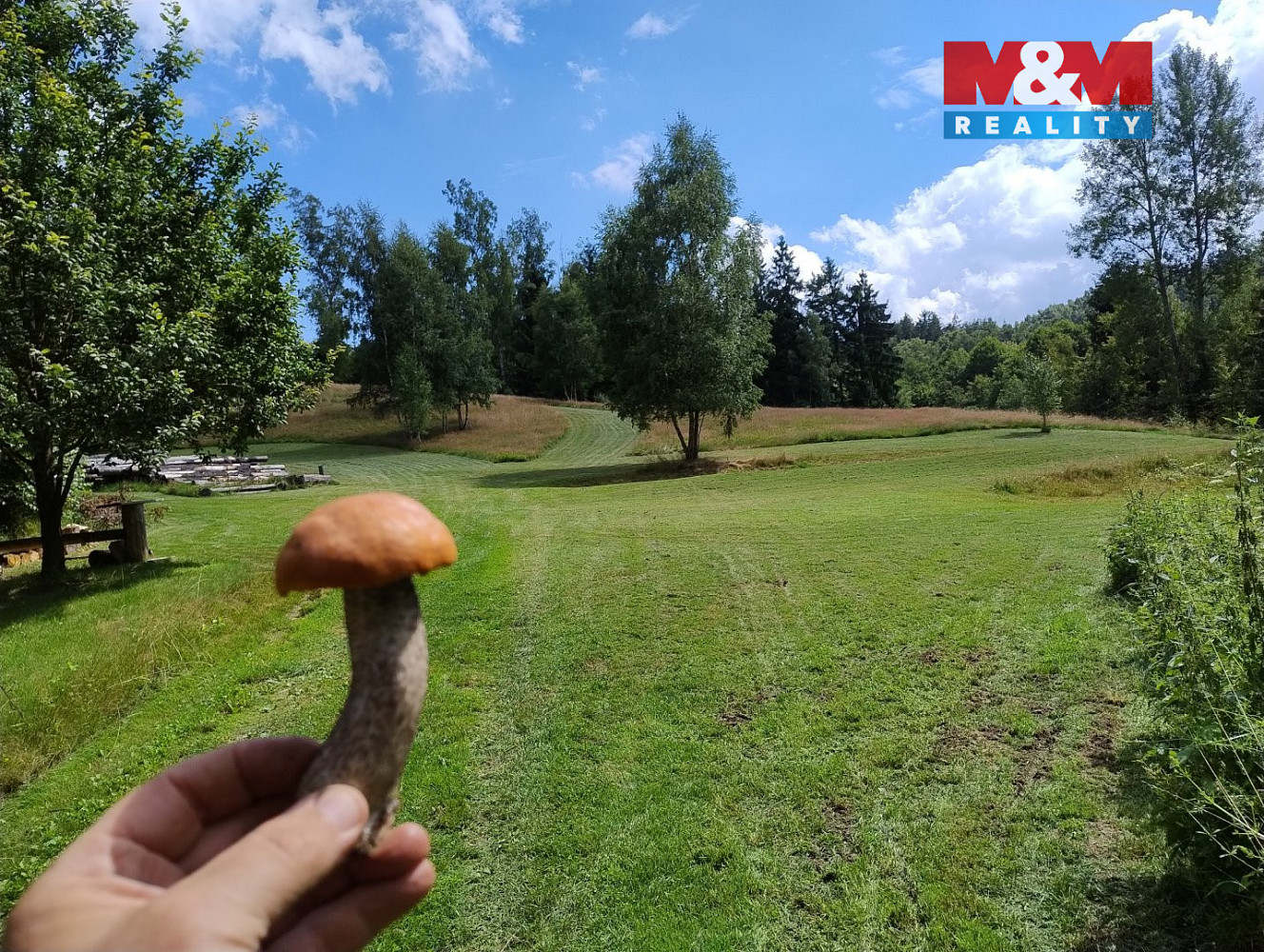 Prodej pozemku 8 531 m² - Więcej