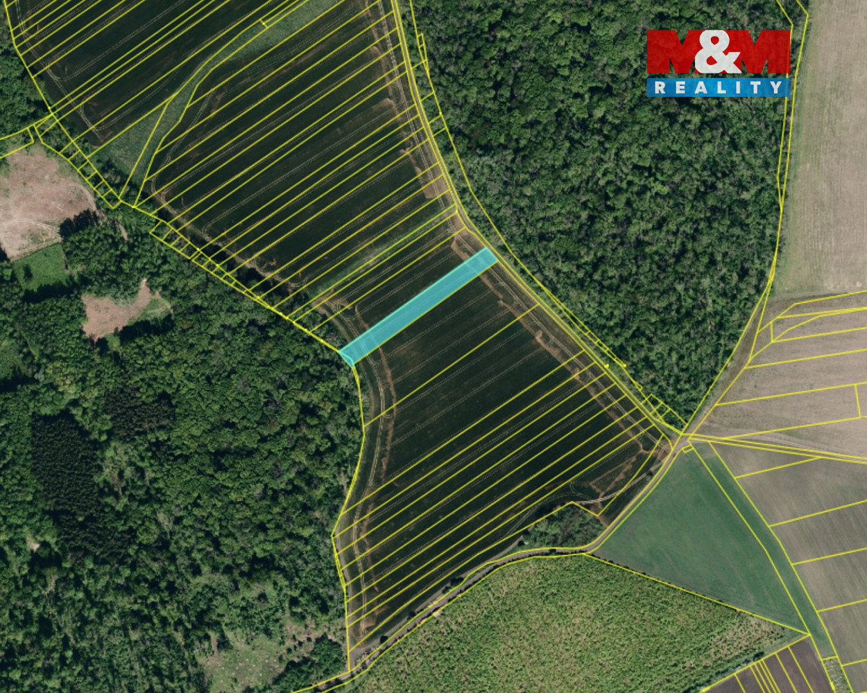 Prodej pole 2 769 m² – fotografie 5