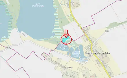Prodej lesa 2 036 m², Vračovice-Orlov - Nemojany