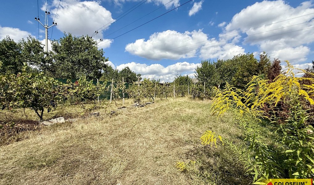 Prodej chaty/chalupy 30 m² s pozemkem 445 m², Suchohrdly – náhled fotky 10