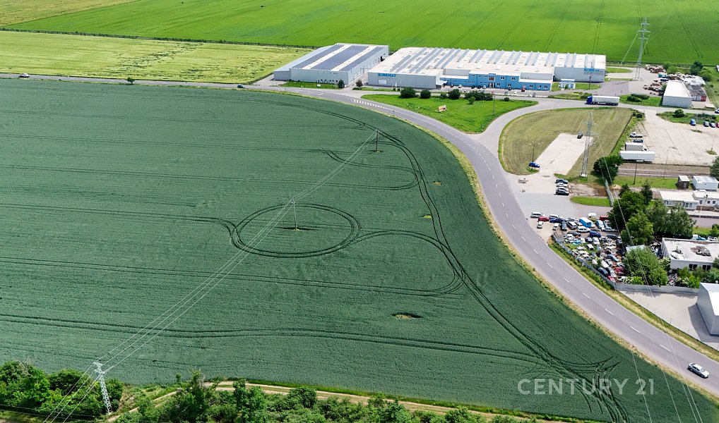 Prodej stavebního pozemku 11 300 m², Tasovice – náhled fotky 7