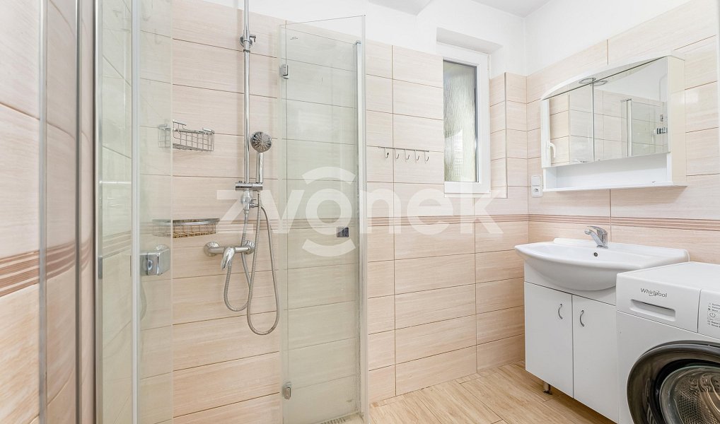 Prodej domu 258 m² s pozemkem 1 107 m², Všemina – náhled fotky 7