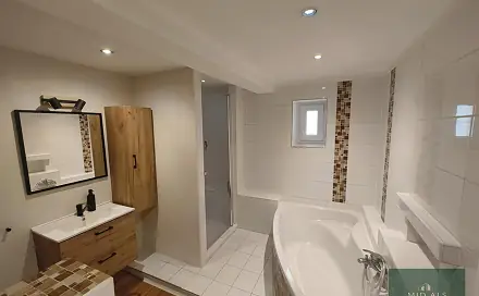 Prodej domu 200 m² s pozemkem 1 301 m², Bor - Ostrov, okres Tachov