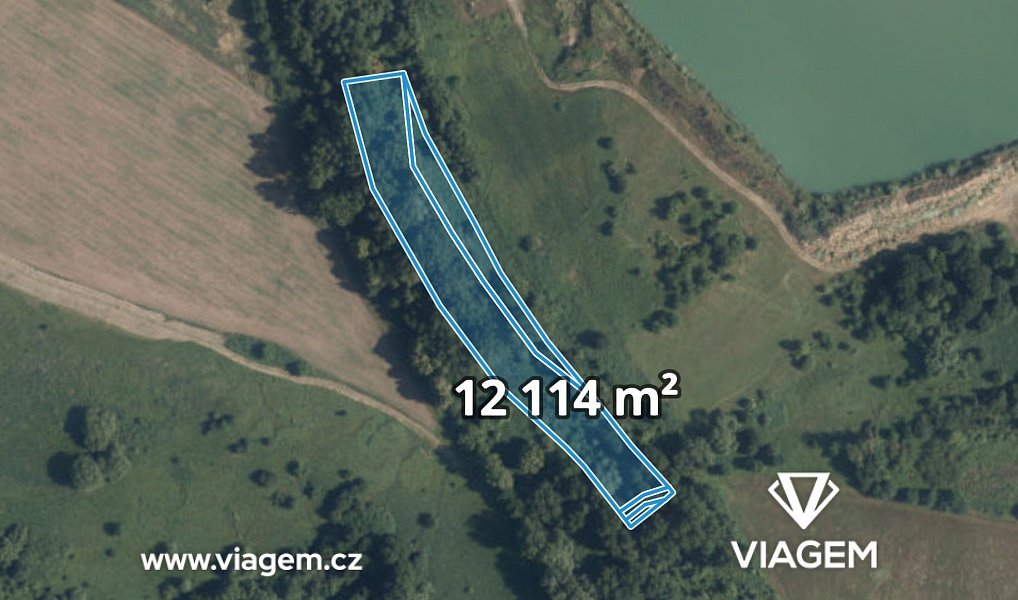 Prodej lesa 2 389 m², Kostelec nad Labem – náhled fotky 5