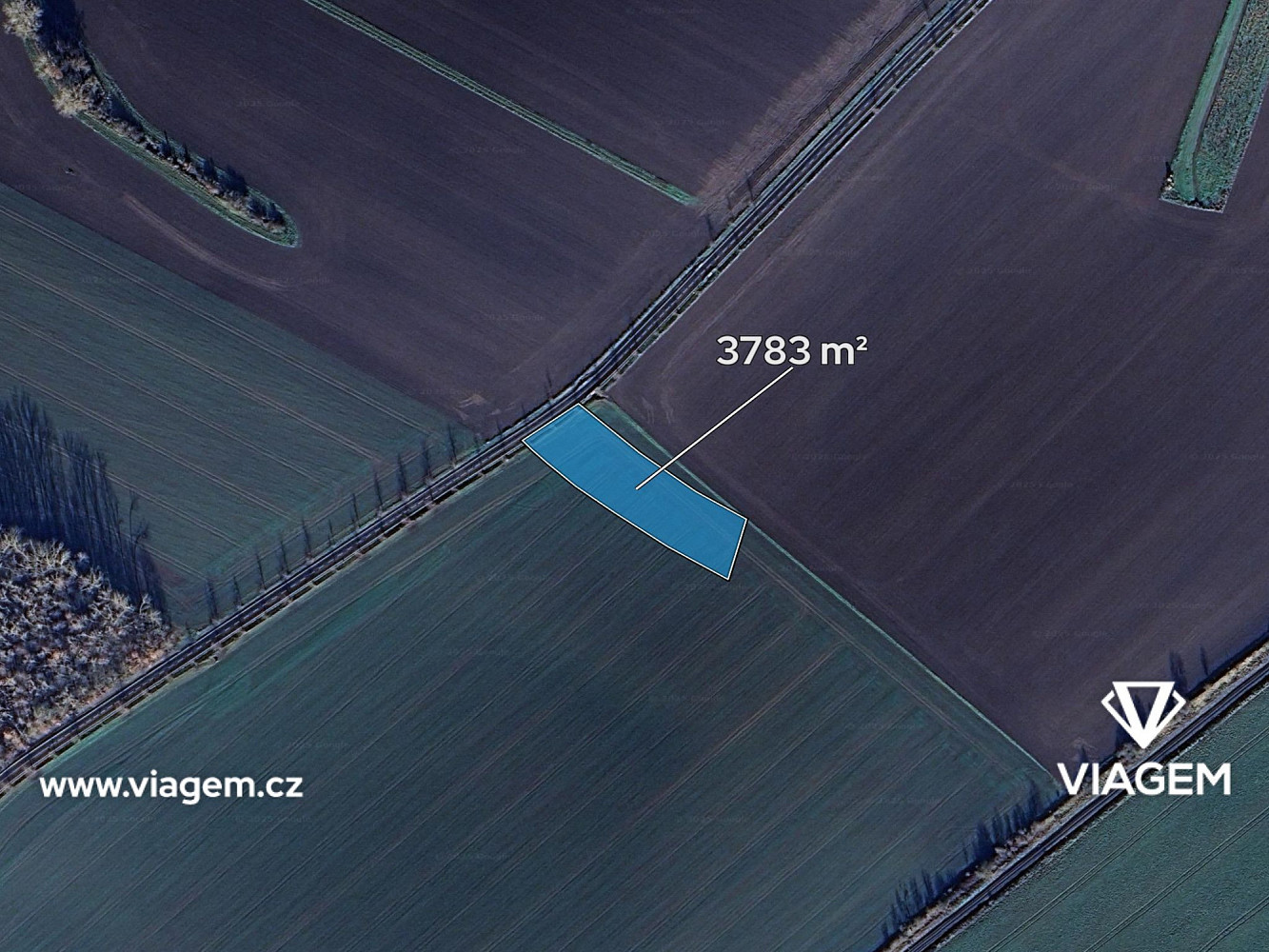 Prodej pole 1 261 m² – fotografie 2