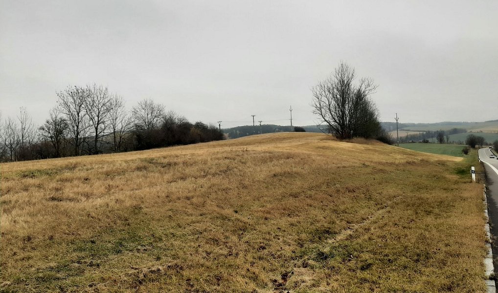 Prodej komerčního pozemku 33 986 m², Březová nad Svitavou – náhled fotky 3