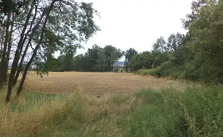 Prodej zahrady 1 100 m², Heřmanova Huť - Vlkýš, okres Plzeň-sever