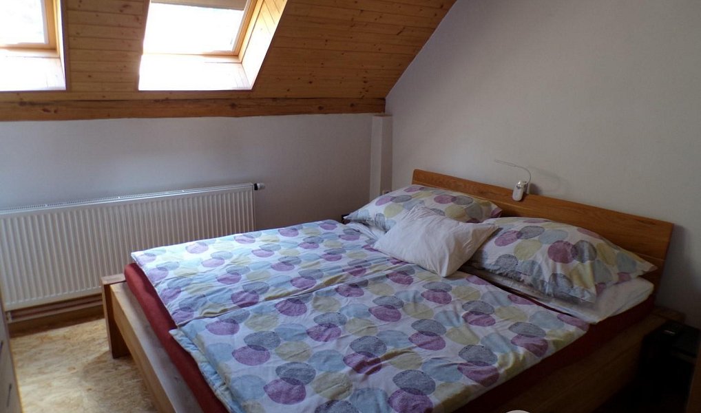 Prodej domu 205 m² s pozemkem 6 330 m², Čestín – náhled fotky 12