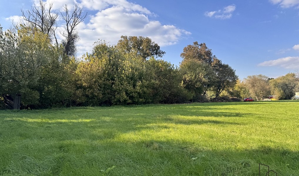 Prodej louky 3 793 m², Rohatec – náhled fotky 4