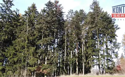 Prodej lesa 12 818 m², Letiny - Svárkov, okres Plzeň-Jih