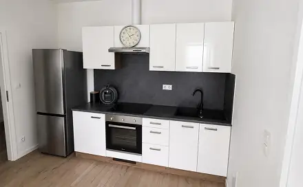 Pronájem bytu 2+kk 42 m², Františka Halase, Most