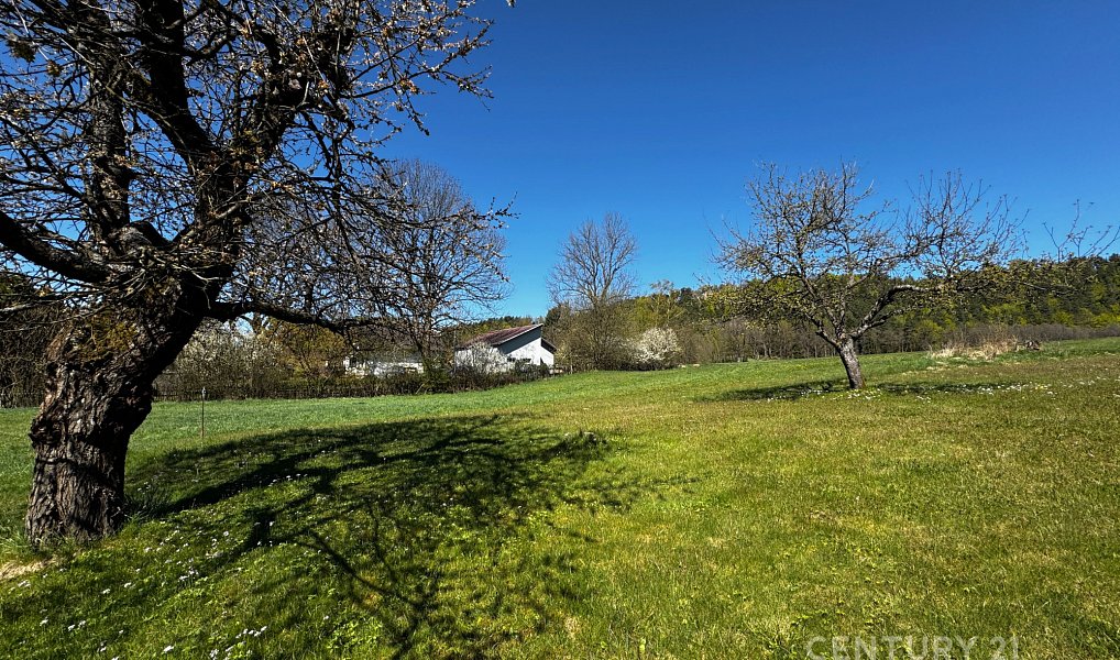 Prodej stavebního pozemku 2 626 m², Křižany – náhled fotky 6