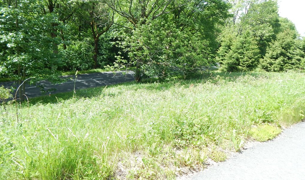 Prodej zahrady 876 m², Vejprty – náhled fotky 22