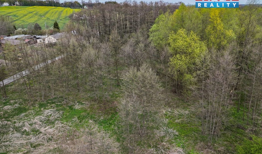 Prodej pole 4 130 m², Dětmarovice – náhled fotky 3