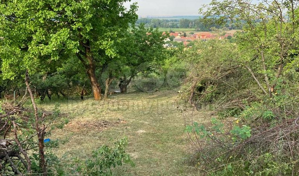 Prodej chaty/chalupy 15 m² s pozemkem 1 152 m², Pohořelice – náhled fotky 8