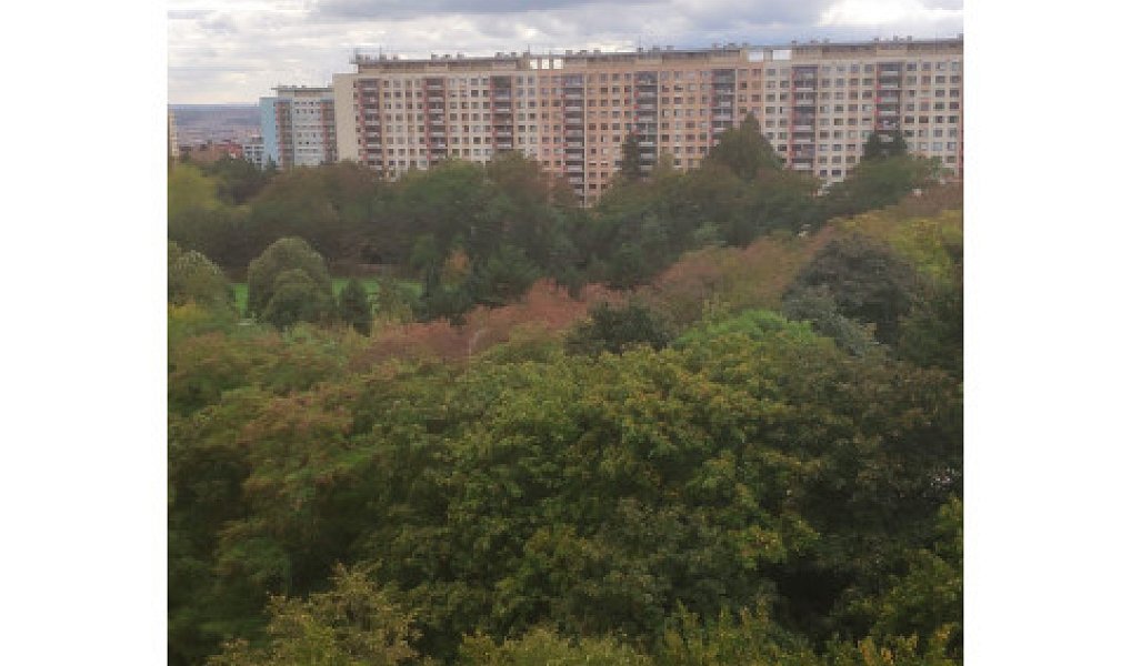 Pronájem bytu 2+kk 45 m², Praha – náhled fotky 11