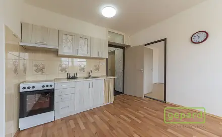 Pronájem bytu 1+1 35 m²
