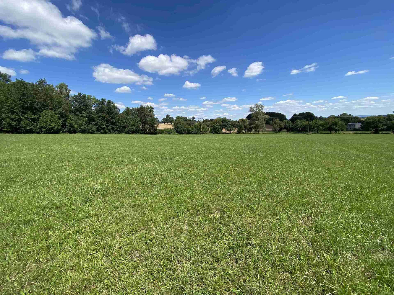 Prodej pozemku 3 466 m² – fotografie 4