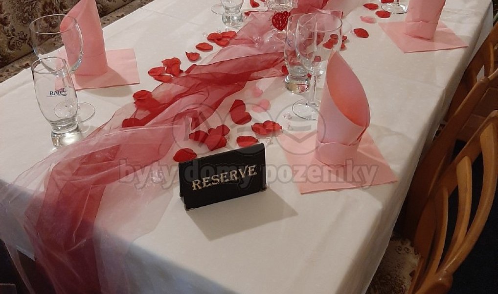 Prodej ubytovacího objektu 600 m², Studénka – náhled fotky 15