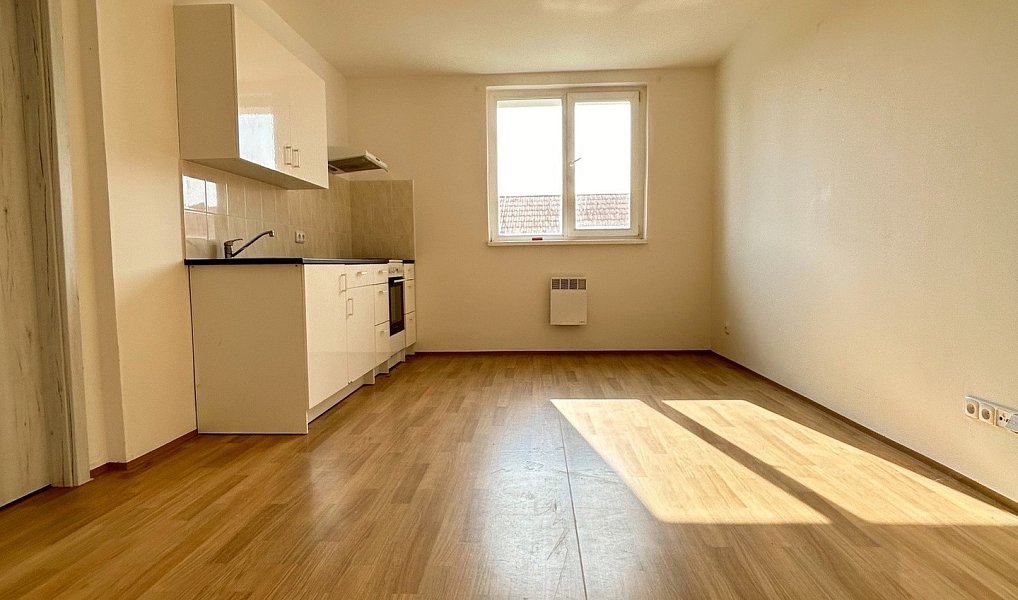 Prodej bytu 1+kk 38 m², Mšené-lázně – náhled fotky 10