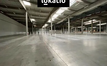 Pronájem skladovacích prostor 18 297 m², Pohořelice, okres Brno-venkov
