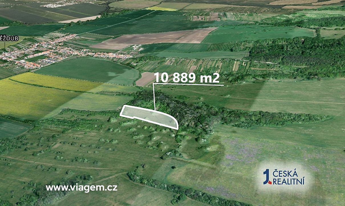 Pole 10 889 m², Podíl 56 % o výměře 6 049 m² – pohled 2