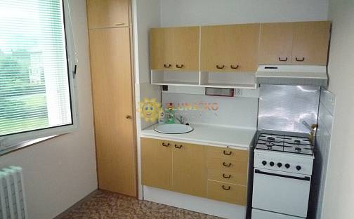 Pronájem bytu 1+1 40 m², Pod Zámečkem, Hradec Králové