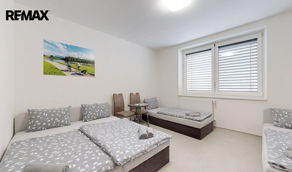 Prodej ubytovacího objektu 655 m², Dolní Dunajovice – náhled fotky 9