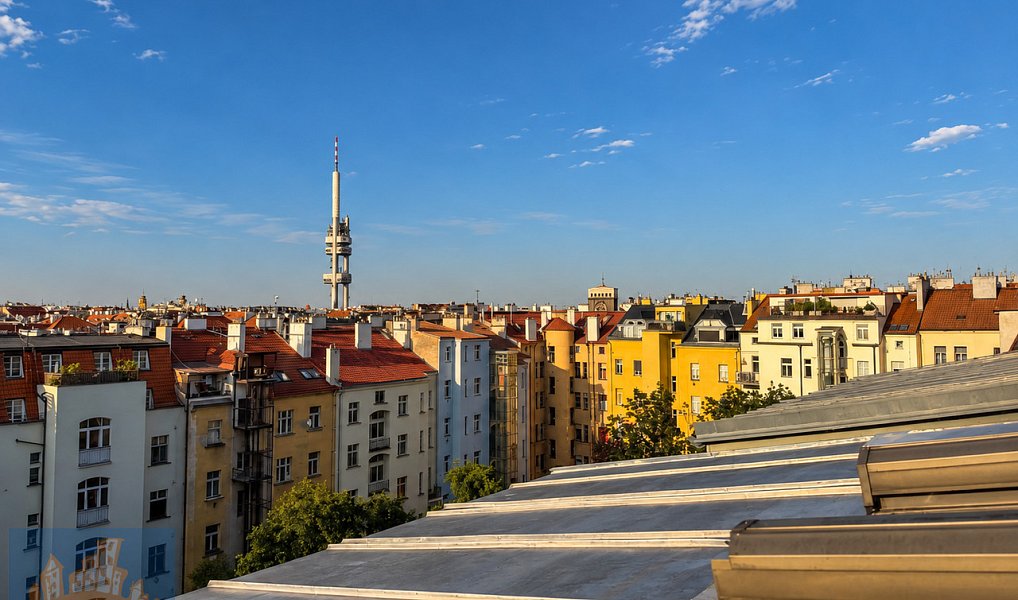 Pronájem bytu 3+kk 157 m², Praha – náhled fotky 18