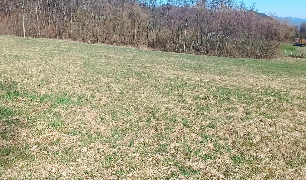 Prodej stavebního pozemku 4 280 m², Heřmanov – náhled fotky 7