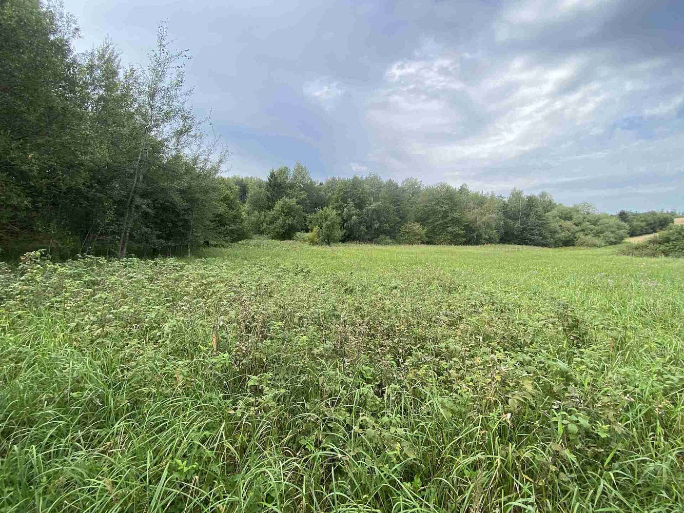 Prodej pozemku 4 446 m² – fotografie 4