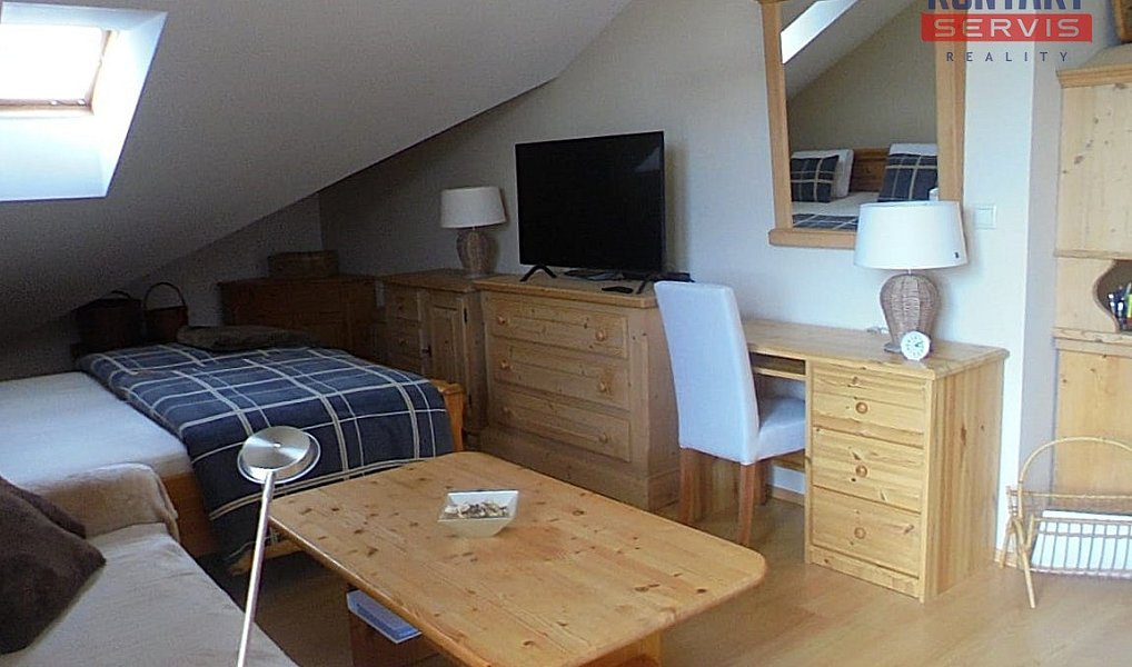 Pronájem bytu 1+kk 50 m², Železná Ruda – náhled fotky 5