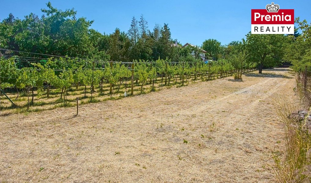 Prodej zahrady 903 m², Nový Šaldorf-Sedlešovice – náhled fotky 6