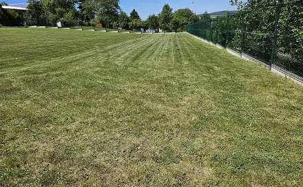 Prodej stavebního pozemku 1 702 m², Třemošnická, Divišov, okres Benešov
