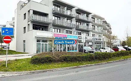 Pronájem bytu 1+kk 30 m²