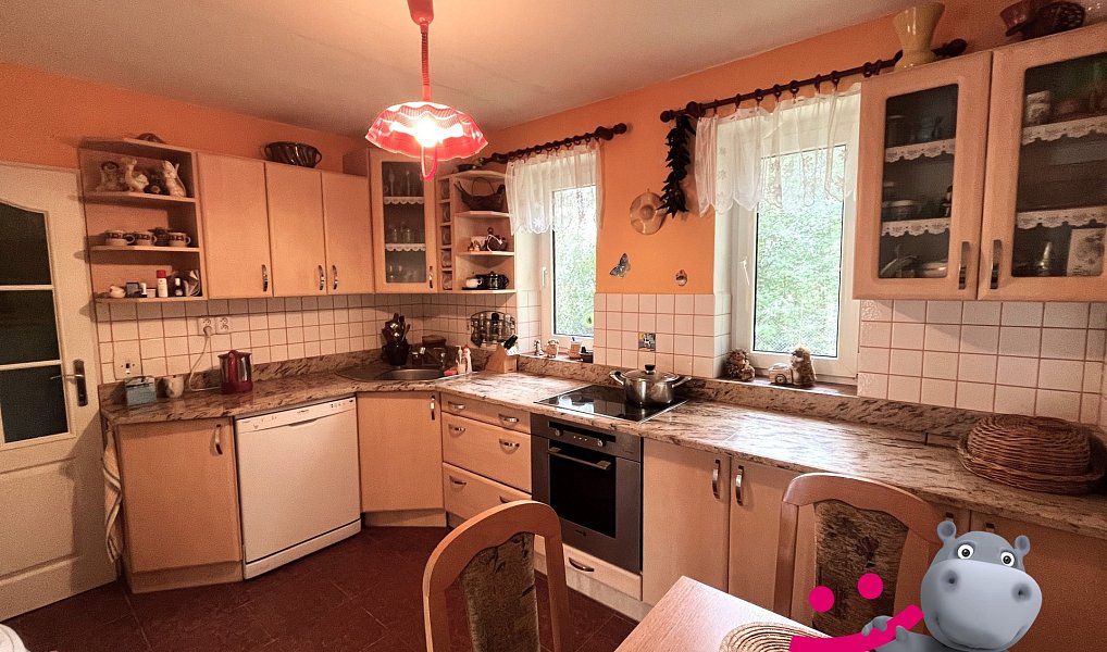 Prodej obchodních prostor 200 m², Mohelnice – náhled fotky 6