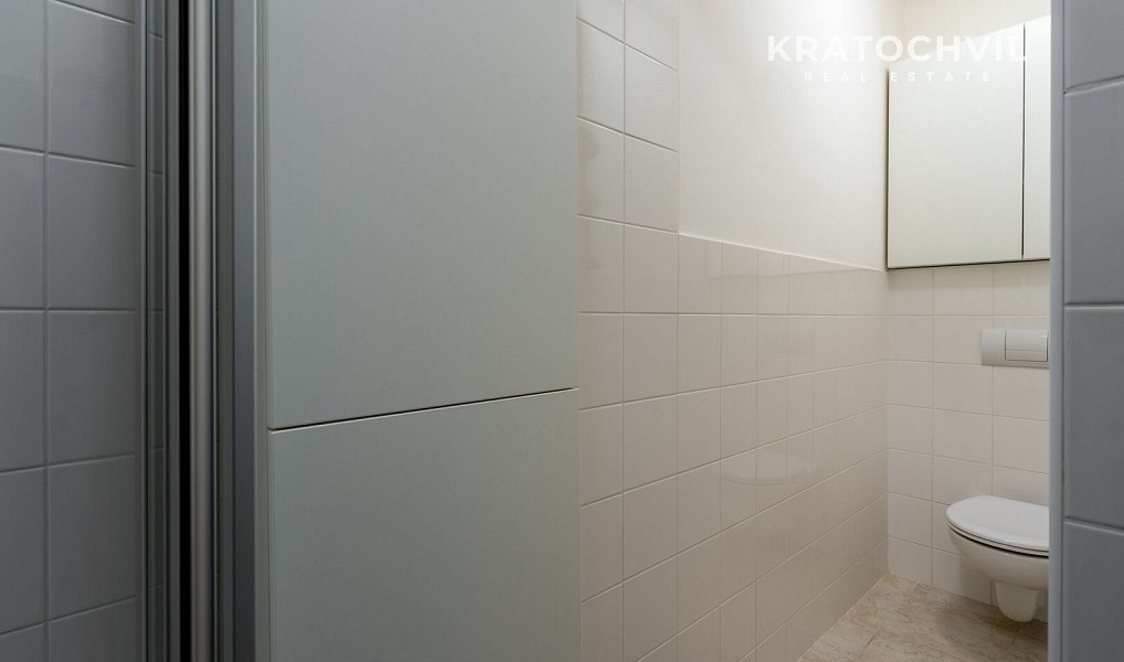 Pronájem bytu 3+kk 101 m², Praha – náhled fotky 19