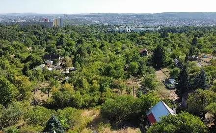 Ostatní